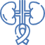 kidney-cancer
